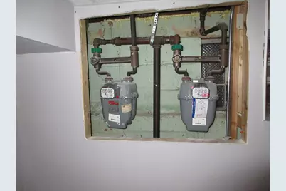 10011 S Exchange Avenue, Chicago, IL 60617 - Photo 49