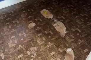 10011 S Exchange Ave, Chicago, IL 60617 - Photo 35