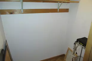 10011 S Exchange Ave, Chicago, IL 60617 - Photo 41