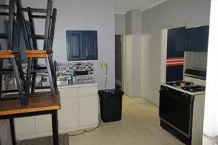 10011 S Exchange Ave, Chicago, IL 60617 - Photo 17