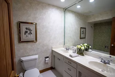 7525 Halesia Court, Orland Park, IL 60462 - Photo 23