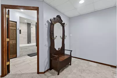 802 Heintz Drive, Shorewood, IL 60404 - Photo 47