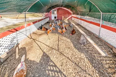 4444 E 1553rd Road, Earlville, IL 60518 - Photo 47