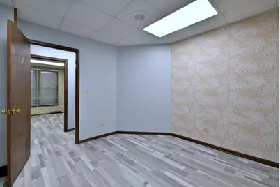 442 N Lake Street N, Aurora, IL 60506 - Photo 21