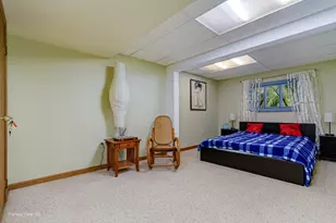 16462 S Ivy Ln, Plainfield, IL 60586 - Photo 19