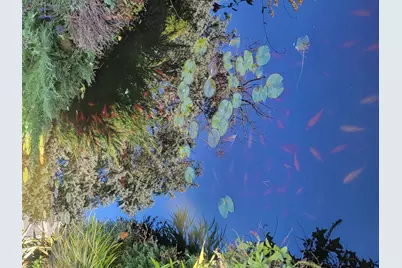 16462 S Ivy Lane, Plainfield, IL 60586 - Photo 31