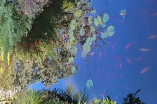 16462 S Ivy Ln, Plainfield, IL 60586 - Photo 31