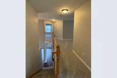 1617 Stanton Lane, Plainfield, IL 60586 - Photo 17