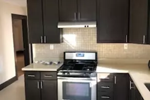 427 Marengo Ave, Forest Park, IL 60130 - Photo 15