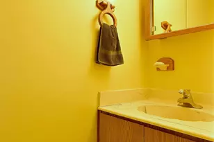 37W208 Olwin Dr, Elgin, IL 60124 - Photo 17