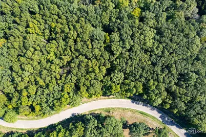 Lot 56 Eagle Chase Drive, Marseilles, IL 61341 - Photo 7