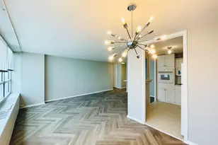 4800 S Chicago Beach Dr, Chicago, IL 60615 - Photo 5