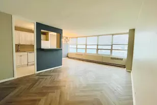 4800 S Chicago Beach Dr, Chicago, IL 60615 - Photo 3