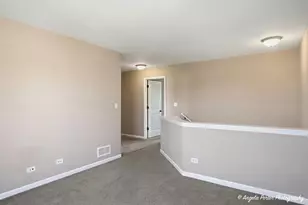 3201 Christopher Ct, Johnsburg, IL 60051 - Photo 13