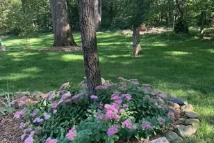 48 Indian Hills Dr, Putnam, IL 61560 - Photo 39