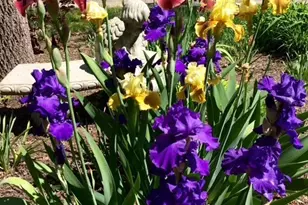 48 Indian Hills Dr, Putnam, IL 61560 - Photo 45