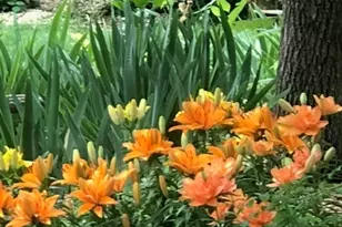 48 Indian Hills Dr, Putnam, IL 61560 - Photo 37