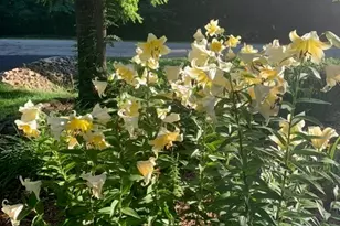 48 Indian Hills Dr, Putnam, IL 61560 - Photo 41