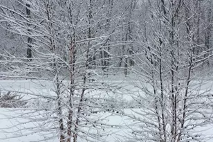 48 Indian Hills Dr, Putnam, IL 61560 - Photo 49