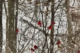 48 Indian Hills Dr, Putnam, IL 61560 - Photo 43