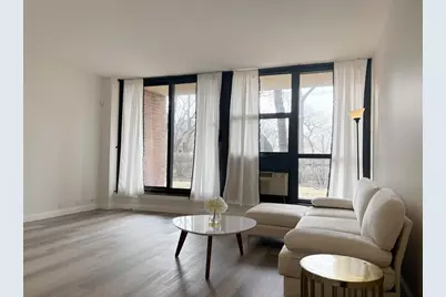 2921 S Michigan Avenue #102, Chicago, IL 60616 - Photo 7