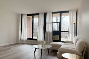 2921 S Michigan Ave, Chicago, IL 60616 - Photo 7