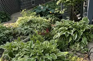 5055 W Argyle St, Chicago, IL 60630 - Photo 47