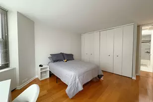 535 N Michigan Ave, Chicago, IL 60611 - Photo 9