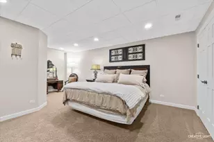 4459 Esquire Cir, Naperville, IL 60564 - Photo 45