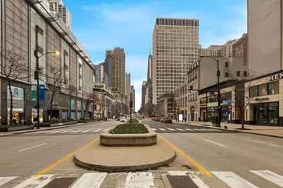 535 N Michigan Avenue #905, Chicago, IL 60611 - Photo 41