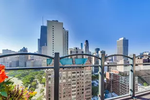 1150 N Lake Shore Dr, Chicago, IL 60611 - Photo 27