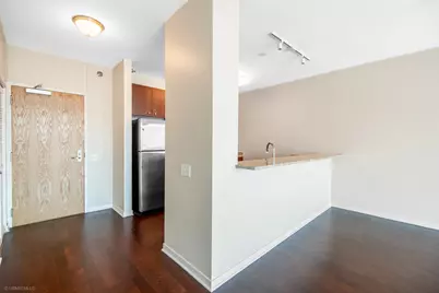 757 N Orleans Street #805, Chicago, IL 60654 - Photo 9