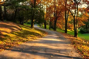 674 Plum Tree Rd, Barrington Hills, IL 60010 - Photo 61