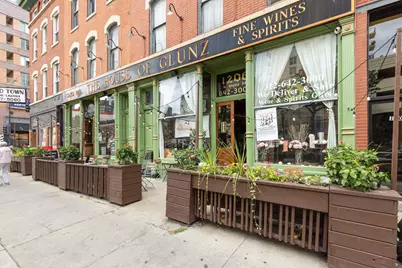 231 W Scott Street #2, Chicago, IL 60610 - Photo 29