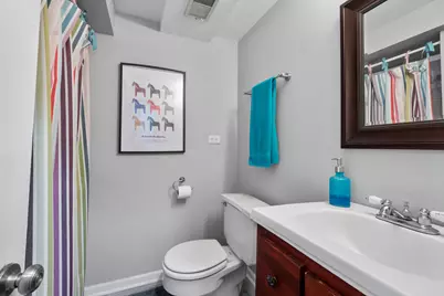 160 E Lahon Street, Park Ridge, IL 60068 - Photo 33