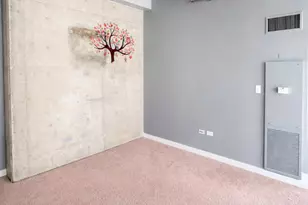 1720 S Michigan Ave, Chicago, IL 60616 - Photo 5