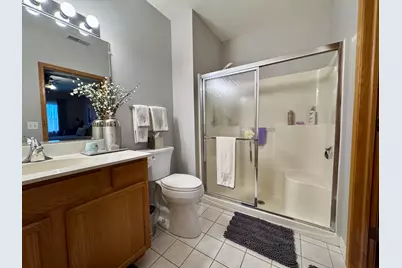 5351 W Mint Julip Drive #301, Alsip, IL 60803 - Photo 17