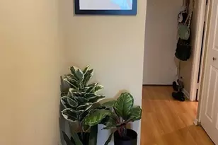 1636 N Wells St, Chicago, IL 60614 - Photo 21