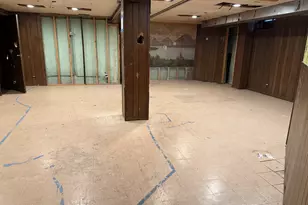 705 S Chestnut Ave, Arlington Heights, IL 60005 - Photo 5