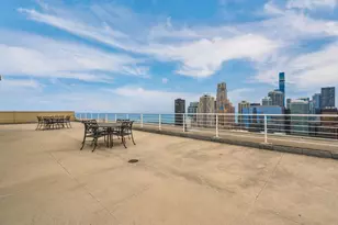 250 E Pearson St, Chicago, IL 60611 - Photo 29