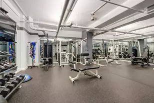 250 E Pearson St, Chicago, IL 60611 - Photo 27