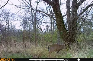 8877 Kennedy Rd, Yorkville, IL 60560 - Photo 79