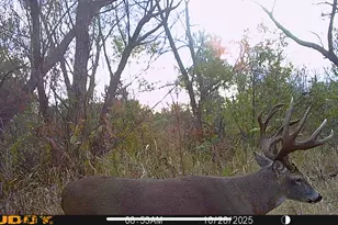 8877 Kennedy Rd, Yorkville, IL 60560 - Photo 77