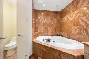 1100 N Lake Shore Dr, Chicago, IL 60611 - Photo 21