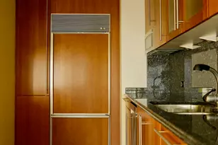 1100 N Lake Shore Dr, Chicago, IL 60611 - Photo 13