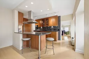 1100 N Lake Shore Dr, Chicago, IL 60611 - Photo 9