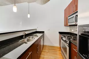 1110 W 15th St, Chicago, IL 60608 - Photo 9