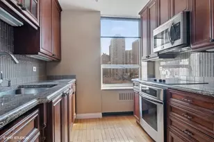 70 W Burton Pl, Chicago, IL 60610 - Photo 5