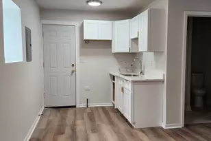 8900 S Normal Ave, Chicago, IL 60620 - Photo 27