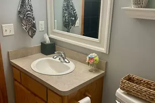 1739 Kingtree Dr, Morris, IL 60450 - Photo 23